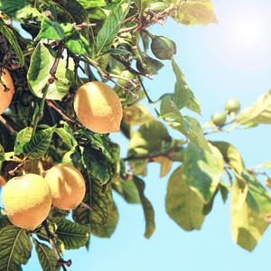 12孩岁女裸体㊙️
